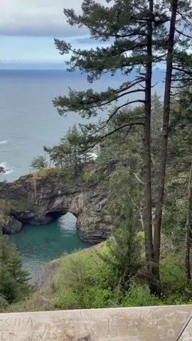 I wish this was my everyday 😍 #oregoncoast #pnw #Hiking #fyp #springvibes