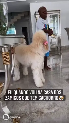 Eu quando vou na casa dos zamigos que tem cachorro... o cachorro é você quando não vai com a cara da visita kkkkkkk