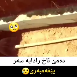 #fyp