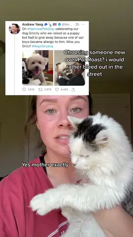 you are welcome to comment on this that I am wrong but I will not read it, reply, or change my mind ❤️ #Potroasttok #petsontiktok #cat #fyp
