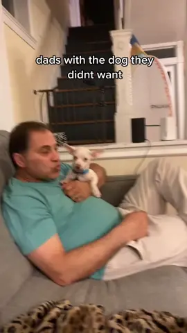 dads with the dog they didnt want #fyp #foryoupage #foryou #xyzbca #fy #dogsoftiktok