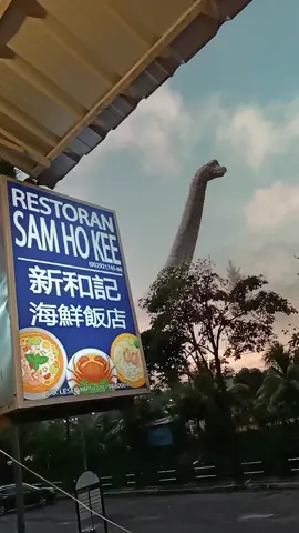 #tiktok