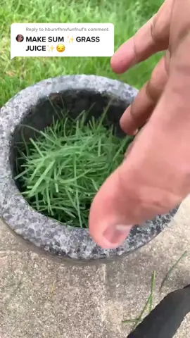 Reply to @hbunrfhnvfunfnuf That Goose at the end was like, Dude gimme some fish 🐟 I don't eat grass🤪