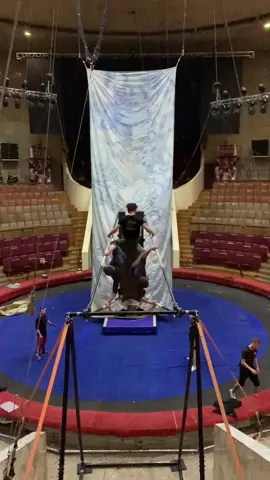 Сколько сальто насчитали ? #multi_mao #flip #circus