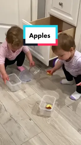 Guess they are saving their apples for tomorrow 🤷🏽‍♀️ #twins #twinsisters #apples #fyp #tupperware #momlife #twinmomlife