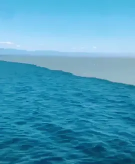 Two ocean meeting 😍#RayBanElevatorDance #foryou #fyp #miladrazaqadri #ocean #allah #sea