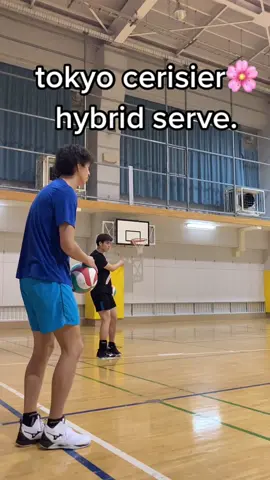 #東京スリジエ #tokyocerisier #volleyball #バレーボール #haikyuu #ハイキュー #hybridservice