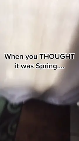 #spring #WorthTheWait #nosnow #nosnowdays #kansasweather #kansasweathersucks