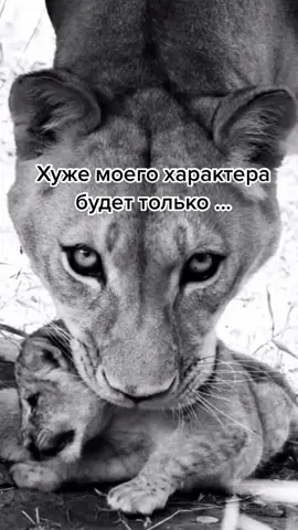 #характерсына#рекомендации#хочуврек@syva008