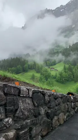 صباحكم سويسري 😍💚 🎥  lulua782