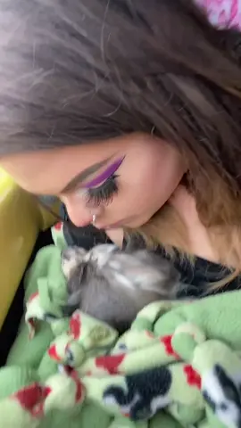 I took this while I was waiting for her medication to come out from the vet, she is nice & sleepy🐶💤 ￼send her POSITIVE vibes🙏🏼✨LIVE on Live.me now