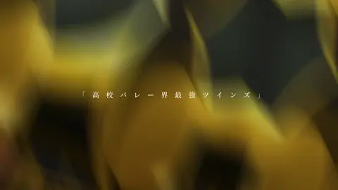高校バレー界最強ツインズ                          #宮侑 #宮治 #稲荷崎 #ハイキュー           #haikyuu #宮兄弟