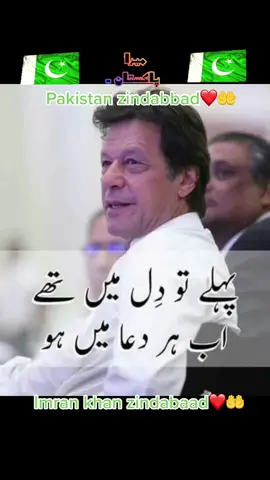 #pakistanzindabad#fypシ゚viral☆♡💯 🇵🇰🇵🇰