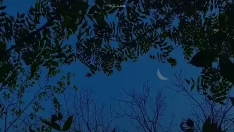 记忆停留 #记忆停留 #kyucchunglai #radio070 #youthcorner #🏮hội_trung_hoa🏮 #nhactrungquoctamtrang #lyrics #xuhuong #sad #nhactrungquochaynhat #chill #edit #fy