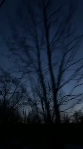 A different World / Edited by me 🥺 - clips from @elliegacevic  @chrissdvdsn 🤍                               #fye #foryou #forest #experienceludovico