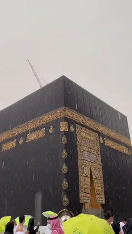 Ameen sum Ameen #in sha Allah #foryou #💕🤲💕 #viral_video #subhanAllah #true #duet