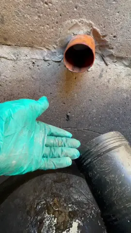 I’m back with the forbidden toothpaste! 🙅🏼