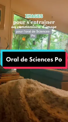 Images pour s’entraîner à l’oral de #SciencesPo #Paris 😎 Vous voulez d’autres vidéos conseils pour l’oral de sciences po ? #fyp #pourtoi