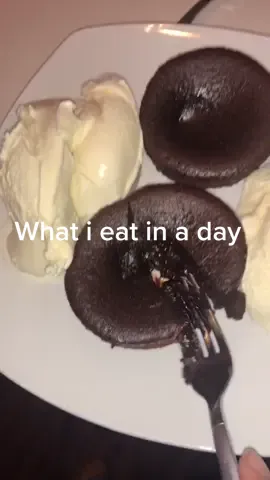 what I eat in a day 🤠🤗 #munchies #yum #bestie #dabs #lavacake #tacobell #pizza #icecream #fyp #goldfish #parmesangarlicwings