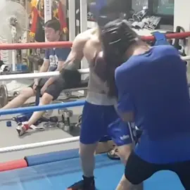boxing body shot! knockout!#bodyshot #복싱 #livershot#리버샷