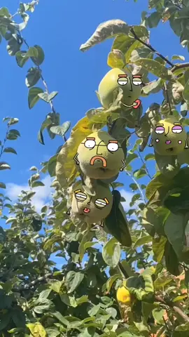 Pearanting #fyp