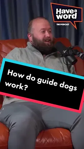 How do guide dogs work?😂 @freddyquinne #fy #fyp #funny #haha #adamrowecomedy #dannightingale #rude #naughty