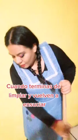 #pimpinela #casalimpia #comediahumor