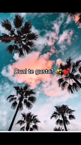 Cual te gusta? Dejalo en los comentarios 💕 (paso whatssap) @vanesamayen