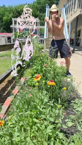 #NeonTwin love this #dance by @jason_m_100 ...I also love these perennial #flowers I #planted last year... #fyp #dancinggardner