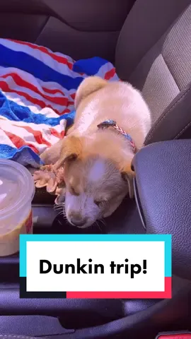 RUN TO GET SOME STUFFED BAGEL MINIS #dunkin #dunkindonuts #IFeelWeightless #MakeMomEpic