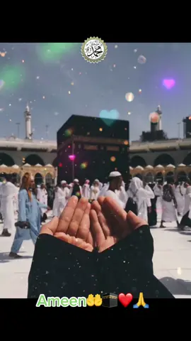 #sayameen#ameen🤲 #islamic_video #fypシ゚viral☆♡💯 #fypシ゚ #dua #pageforyou🤲❤️🕋🙏🇺🇸