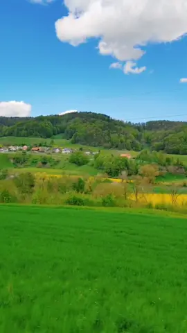 This is the area where we live🤩 #💚  #landscape #nature #fyp #tiktok #spring