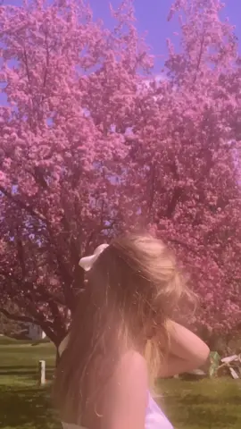 cherry blossom🌸🩰 #coquette #dollette #cherryblossom #ldr #lizzygrant #aesthetic