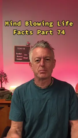 Mind Blowing Life Facts Part 74 #tonybtonyb #mindblowingfacts #mindblowingfact #lifefact #lifefacts #factsoflife #interestingfacts #interestingfact