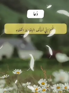 Ameen sum Ameen