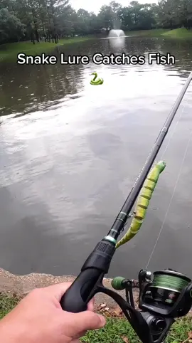 #lure #snake #fish #fishing #Outdoors #sports #fyp #foryou #foryoupage #viral #lovefishing #Lifestyle