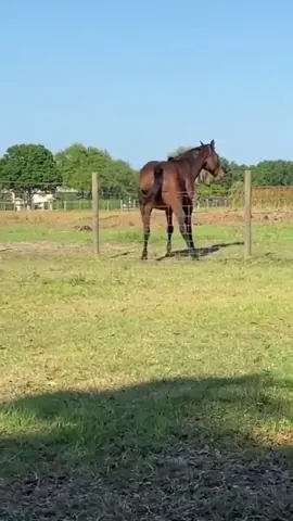 Twerking 😂😂 🎥 @cutest_farm