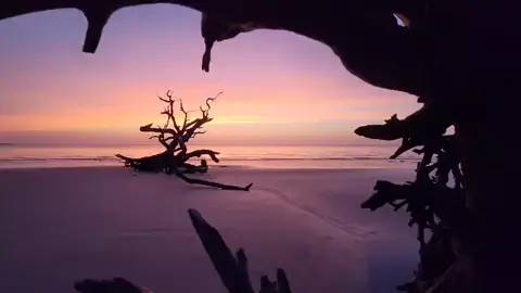 Jekyll Island in Georgia @samsung #withgalaxy #viral_video #foryoupage #tiktokvideo #fypシ゚viral #video #fypu #tiktokviews #trendingvideos
