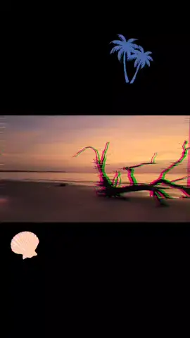 Dreaming @samsungnordics #driftwood #salty #foryou #tiktokvideo #reflections #trendingvideos #viralpost  #tiktokviews #fypsounds #withgalaxy