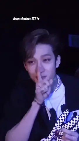 i dk, i just love the dynamic skz & stays have together lol #straykids #skz #bangchan #chan #minho #changbin #hyunjin #jisung #leefelix #kpop #fyp