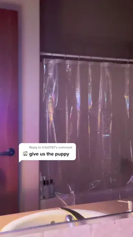 Reply to @fritz0767 ceo of Puppy