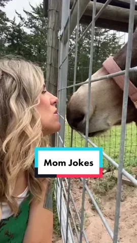 Mom jokes to make you laugh your a.. butt off. 🙄🙄🙄 #sullivanfamilytiktok #momjokes