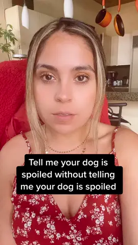 #fyp #fypシ #fypdogggggggg #dogsoftiktok #dogsoftiktokviral #puppylove #pupptiktok #LoveMeMode #rescuedontbuy