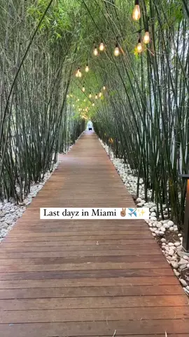 #Miami #TundraBeats #SipIntoSummer #Travel
