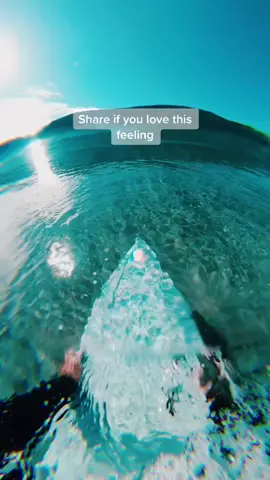 Soo dreamy 🌴✨🌊. Share if you love this feeling. #surfers #surfinglifestyle #dreamyyvibe #paradise #fyp #foryoupage