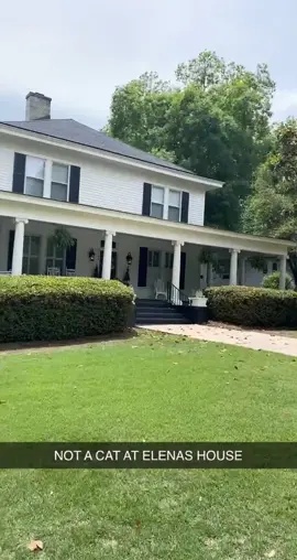 appreciation post for whoever owns elenas house’s cat 🥺 #thevampirediaries #covingtongeorgia #elenagilbert #cat