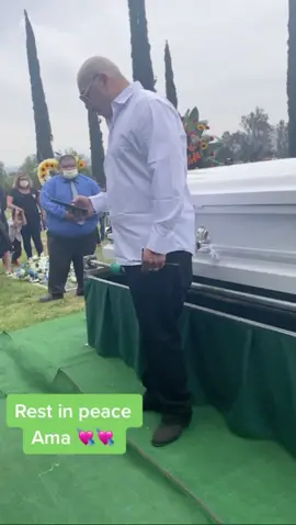 Every word is true ❤️🤍💚 PART 1 #ama #restinpeace #angelitomio #rip #descanzaenpaz #dep #teamo #part1 #grandmother #Love #restinpeace #angelwings