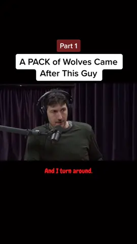 #wolves #crazystory #glennvilleneuve #lifeblowzero #wilderness #nature #hunting #thewild #alaska #joerogan
