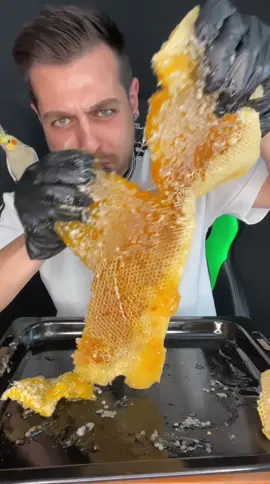 Petek Bal Yedinmi Hiç😁 Honeycomb Did You Eat Honey? 🍯