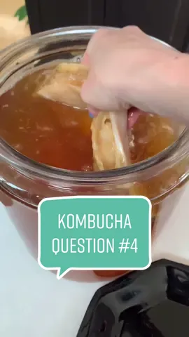 Health benefits of kombucha! #kombuchagirl #kombuchabrewing #fruitteakombucha #kombuchamaking